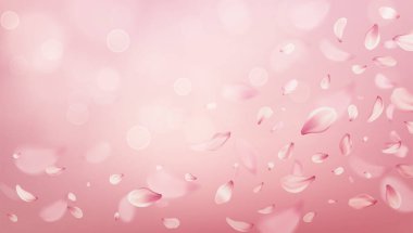 Yumuşak pembe yapraklar, yumuşak ışık ve rüya gibi bokeh, yumuşak hareket ve romantik ruh hali, sakinleştirici ve kadınsı atmosferi ile ılık pembe bir arka planda sürükleniyor.