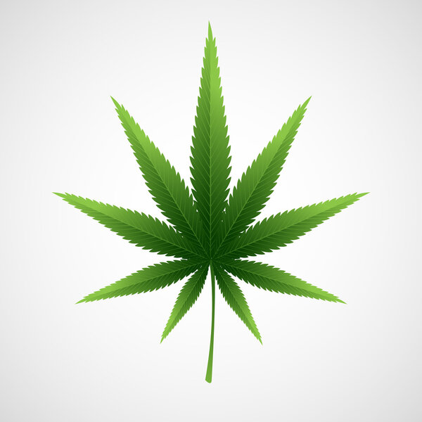 Лист конопли марихуаны. Векторная иллюстрация

