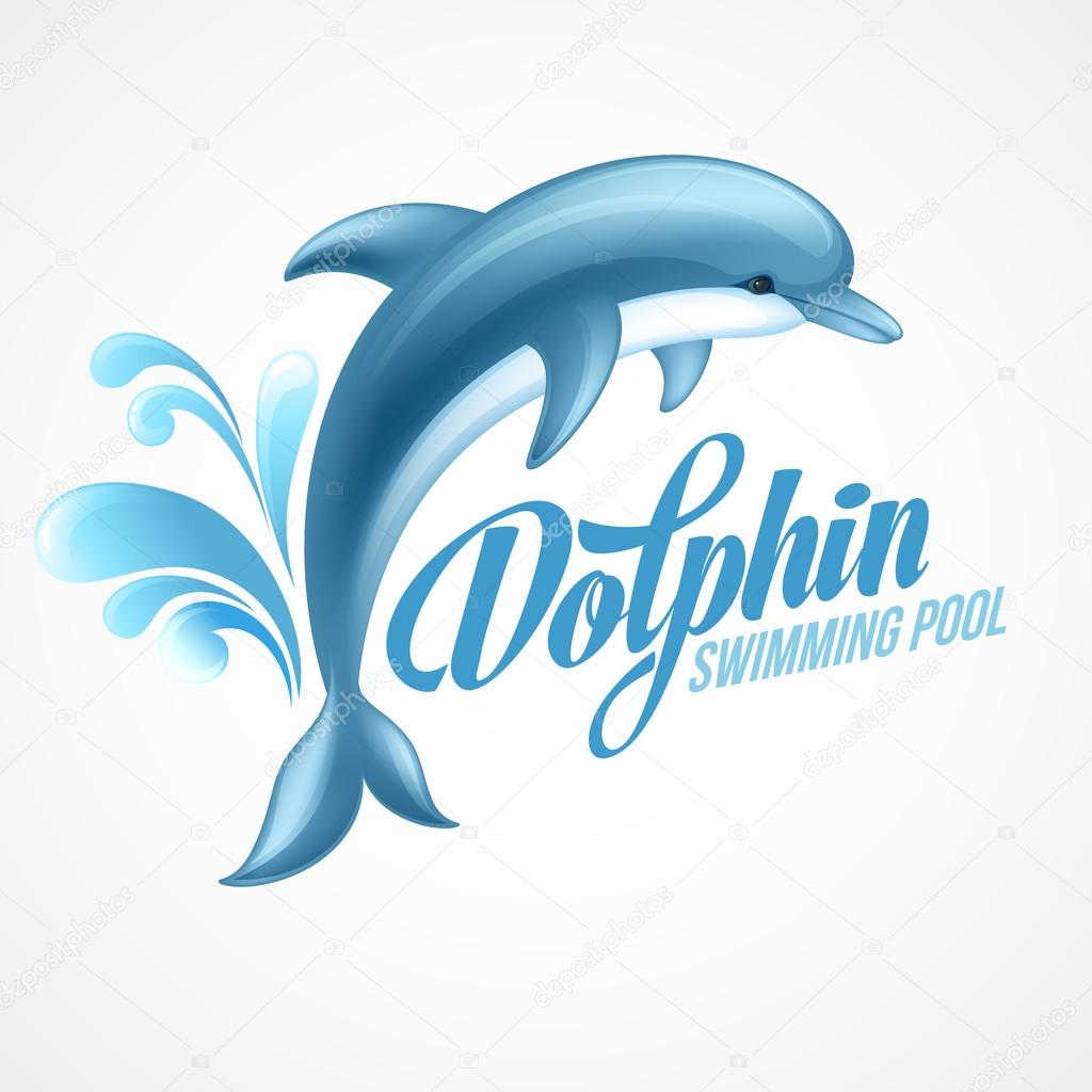 Dolphin. Swimming pool sign template. Vector illustration.