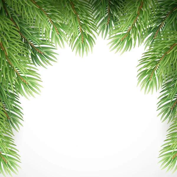 Groene sparren takken zoals Kerstmis frame. Vectorillustratie — Stockvector