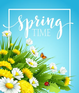 Fresh spring background with grass, dandelions and daisies. Vector illustration