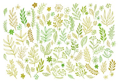 Çizimler ve satır kümesini elle çizilmiş tasarım çiçek öğeleri doodles. Vektör çizim