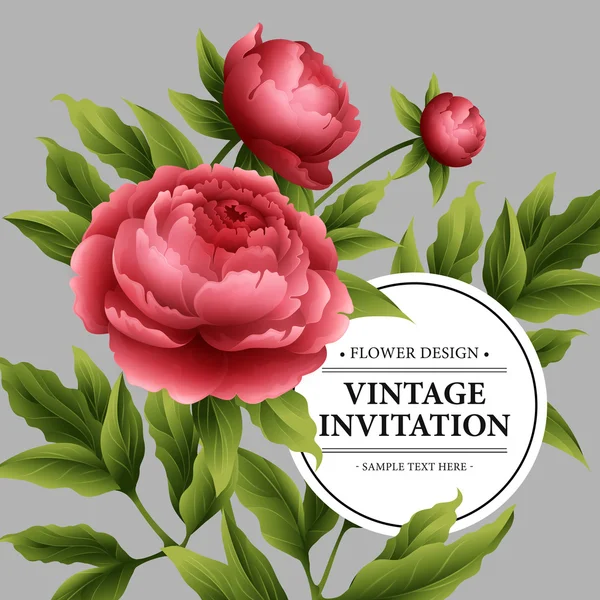 Luxus pünkösdi rózsa virág és levelek üdvözlőlap. Vektoros illusztráció — Stock Vector