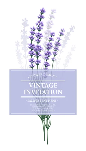 Biglietto vintage con fiore di lavanda. Illustrazione vettoriale — Vettoriale Stock