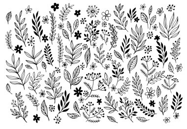 Çizimler ve satır kümesini elle çizilmiş tasarım çiçek öğeleri doodles. Vektör çizim