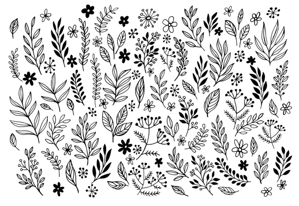 Aantal schetsen en lijn doodles floral ontwerpelementen hand getrokken. Vectorillustratie — Stockvector