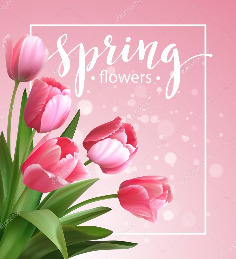 Spring text with  tulip flower. Vector illustration