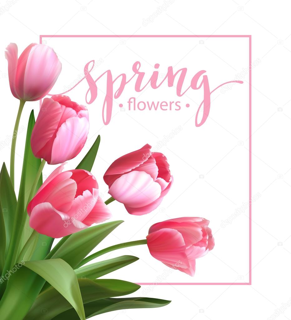 Spring text with  tulip flower. Vector illustration