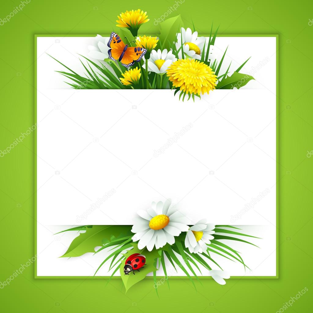 Fresh spring background with grass, dandelions and daisies