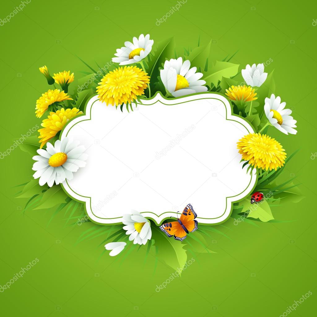 Fresh spring background with grass, dandelions and daisies