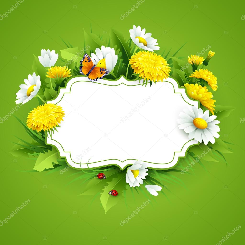 Fresh spring background with grass, dandelions and daisies