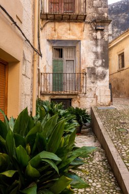 Terk edilmiş bir evin, saksıda bitkilerin olduğu resimli bir cephe.