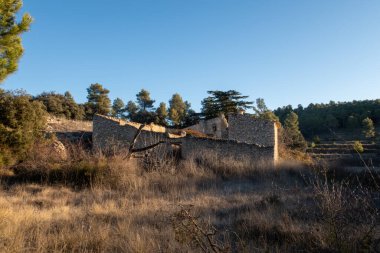  Ormanda terk edilmiş eski bir koyun ağılı