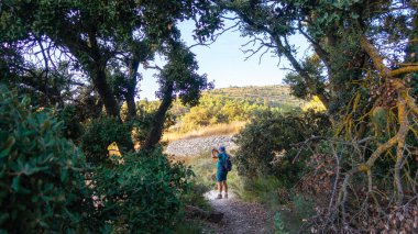 Ormandaki yürüyüşçü manzaraya fotoğraf çekiyor..