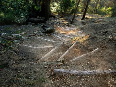 İnsanlar ve yürüyüşçülerin yürümesini kolaylaştırmak için odunlarla inşa edilmiş bir ormanda yol.