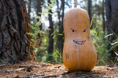 Cadılar Bayramı için süslenmiş ve boyanmış bir balkabağı. Arkadan gelen ışıkla dolu bir ormanda.