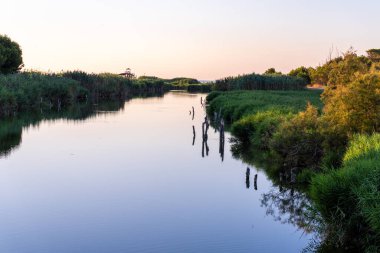 Şafak vakti sakin sulardan oluşan bir nehir ve berrak bir gökyüzü ile manzara..