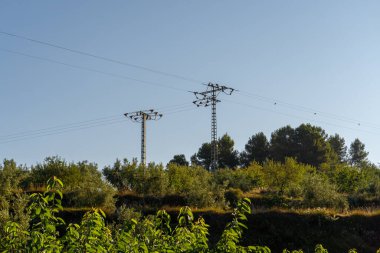 Polonyalılar ve elektrik hatları sabah doğal ortamda..