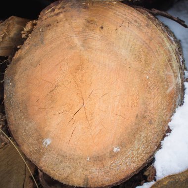 Ahşap desenli, yüzüklü.