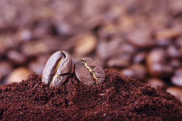 Makro kávová zrna — Stock fotografie