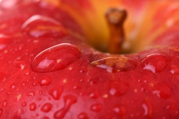 Manzana roja sobre fondo oscuro. Gotas de agua macro —  Fotos de Stock