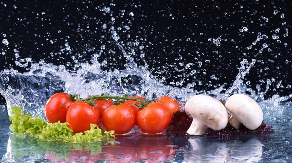 Красный помидор, грибы и салат с брызгами воды — стоковое фото