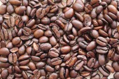 bir sürü kahve çekirdekleri