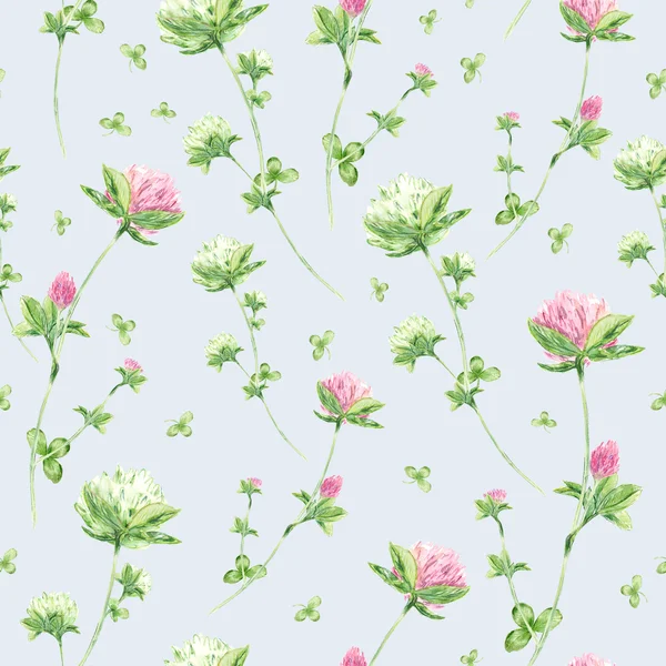 Varrat nélküli mintát akvarell virágok lóhere — Stock Fotó