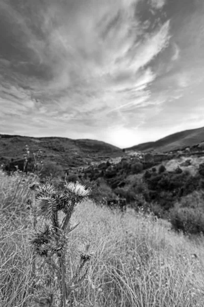 Patones de Arriba, Madrid Topluluğu 'nun eşsiz bir örneği olan siyah levha mimarisinin en temsili örneklerinden biridir..