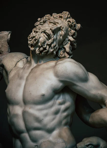 Laocoon ve oğulları, Vatikan Müzeleri, Roma.