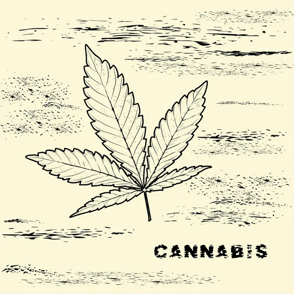 X-ışınları resim sanat tarzı biraz psychedelic bir şekilde yapılır, marihuana yaprağı