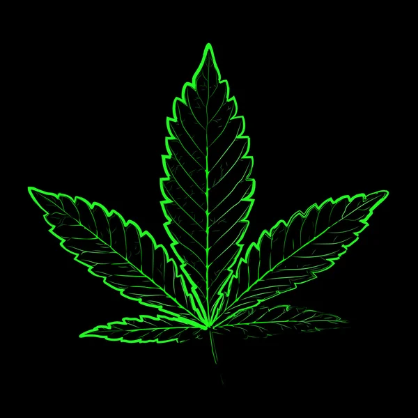 Rayons X. Image colorée de la feuille de marijuana dans un style d'art abstrait, faite d'une manière légèrement psychédélique — Image vectorielle