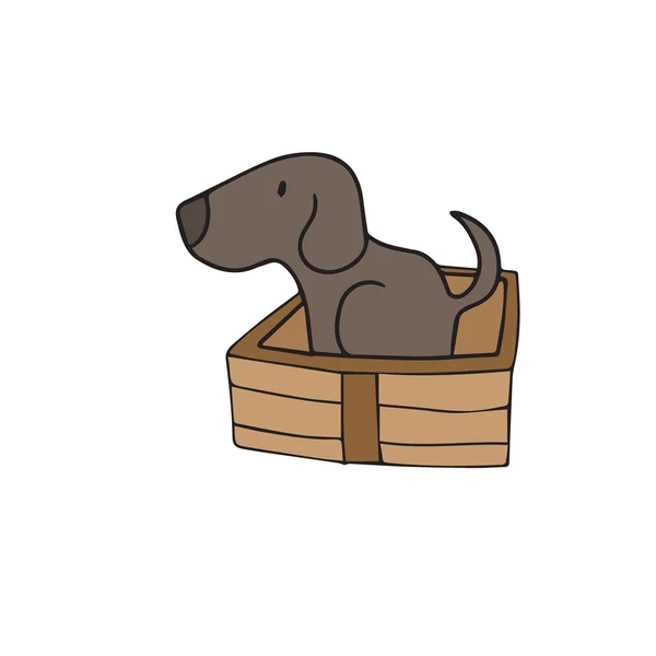 Animal dog in box — Stock Vector