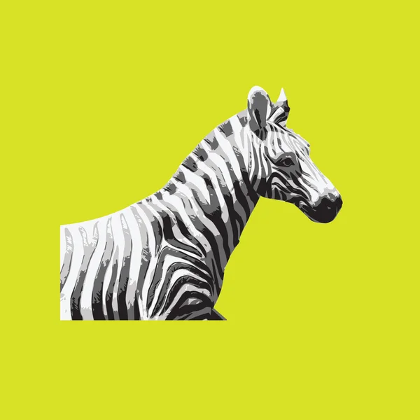 Zebra animal vida selvagem gráfico — Vetor de Stock