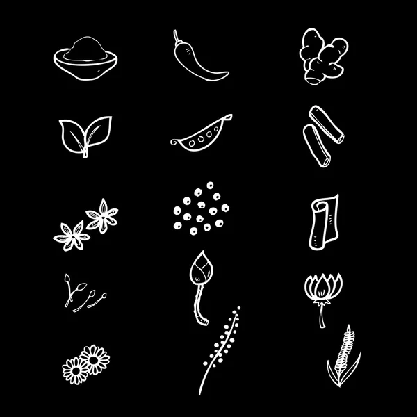 Ensemble d'icônes aux herbes — Image vectorielle