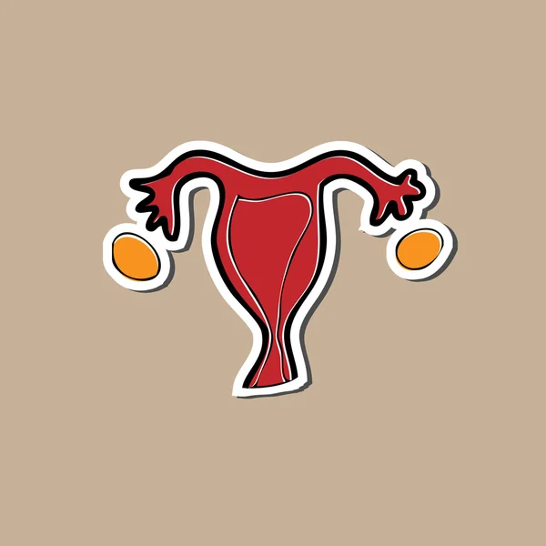 Ovary and uterus sticker drawing cartoon — Stock Vector