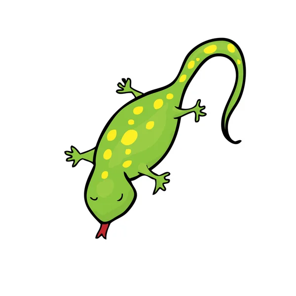 Gecko. — Vector de stock