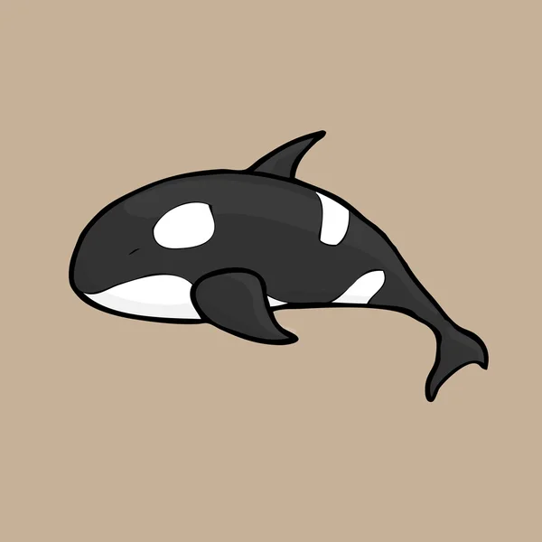 Orca asesino ballena — Archivo Imágenes Vectoriales