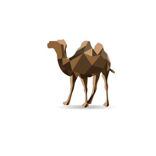 Polígono de camelo — Vetor de Stock