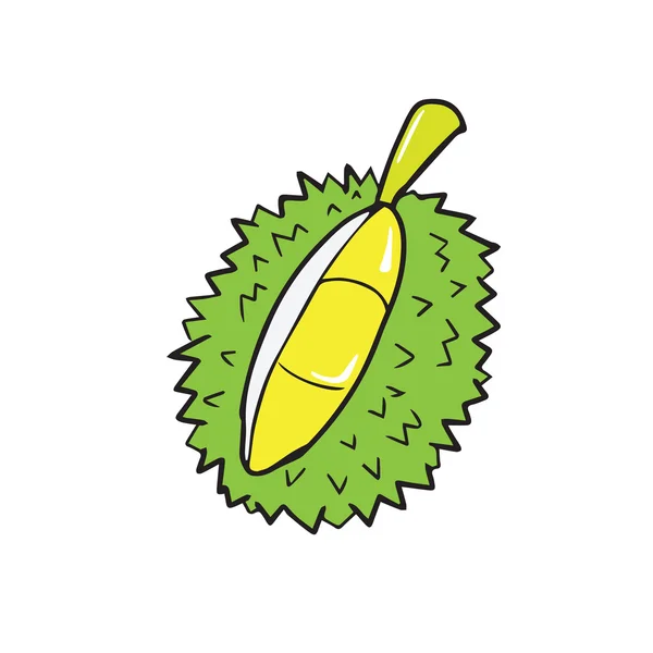 Durian Thai fruit — Stock Vector