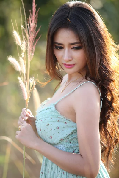 Piękna kobieta w dziedzinie łąka — Zdjęcie stockowe
