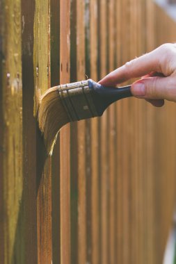 Ahşap çit fırça ile fırçalama