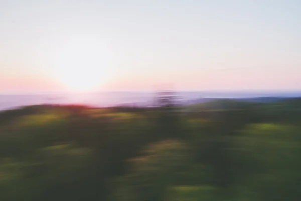 モーション ブラーと夕日の森 — ストック写真
