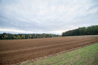sonbahar sürülmüş alan