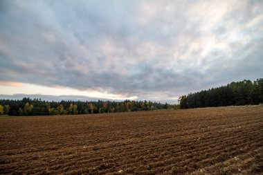 sonbahar sürülmüş alan