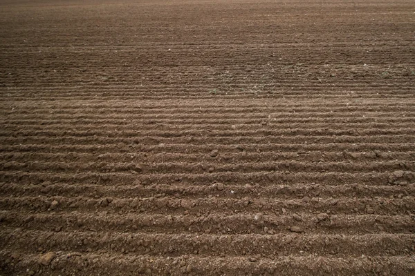 Autumn plowed field — Stock Photo, Image