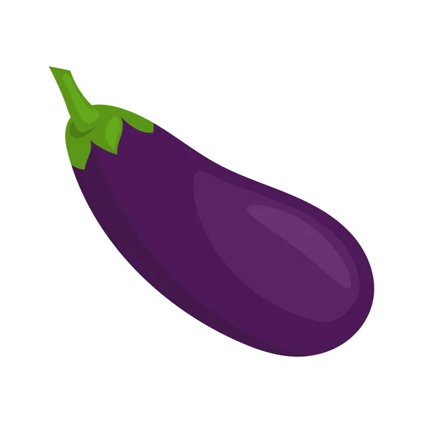 Vectorillustratie van aubergine — Stockvector