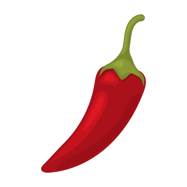 Vectorillustratie van pittige chili peper — Stockvector