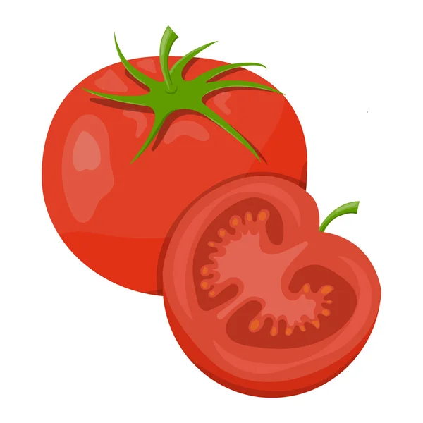 Vector illustration of tomatoes — Stock Vector