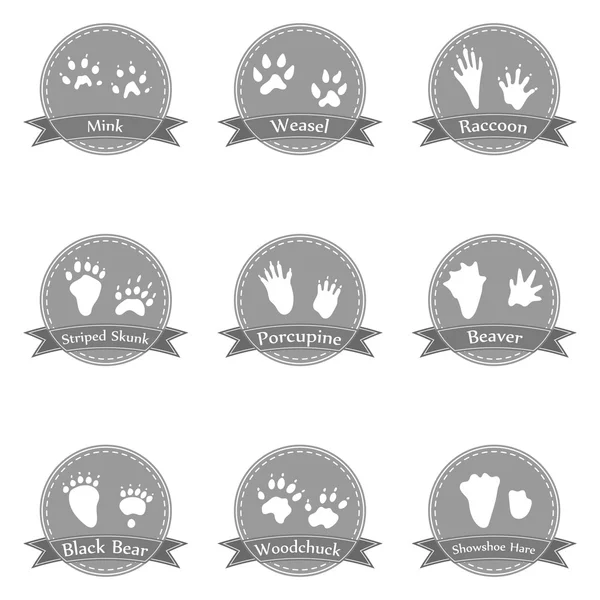 Collectie iconen met dierlijke voetafdrukken — Stockvector
